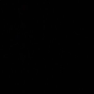 Meet your Posher, Ivan